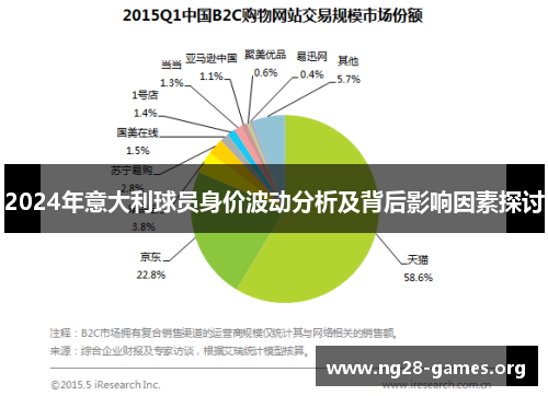 2024年意大利球员身价波动分析及背后影响因素探讨