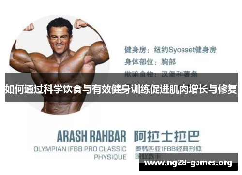 如何通过科学饮食与有效健身训练促进肌肉增长与修复