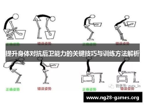 提升身体对抗后卫能力的关键技巧与训练方法解析