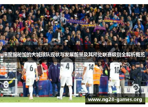 深度揭秘加的夫城球队现状与发展前景及其所处联赛级别全解析概览