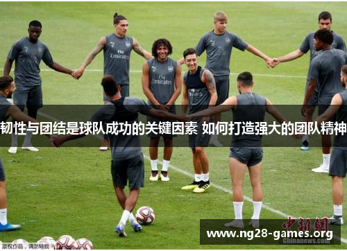 韧性与团结是球队成功的关键因素 如何打造强大的团队精神